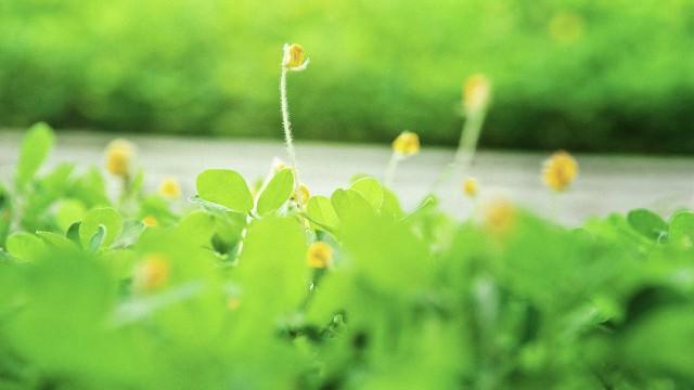 很励志的金句良言,句句扎心,总有一句打动你(图16) (图16)