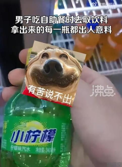 (图6) (图6)