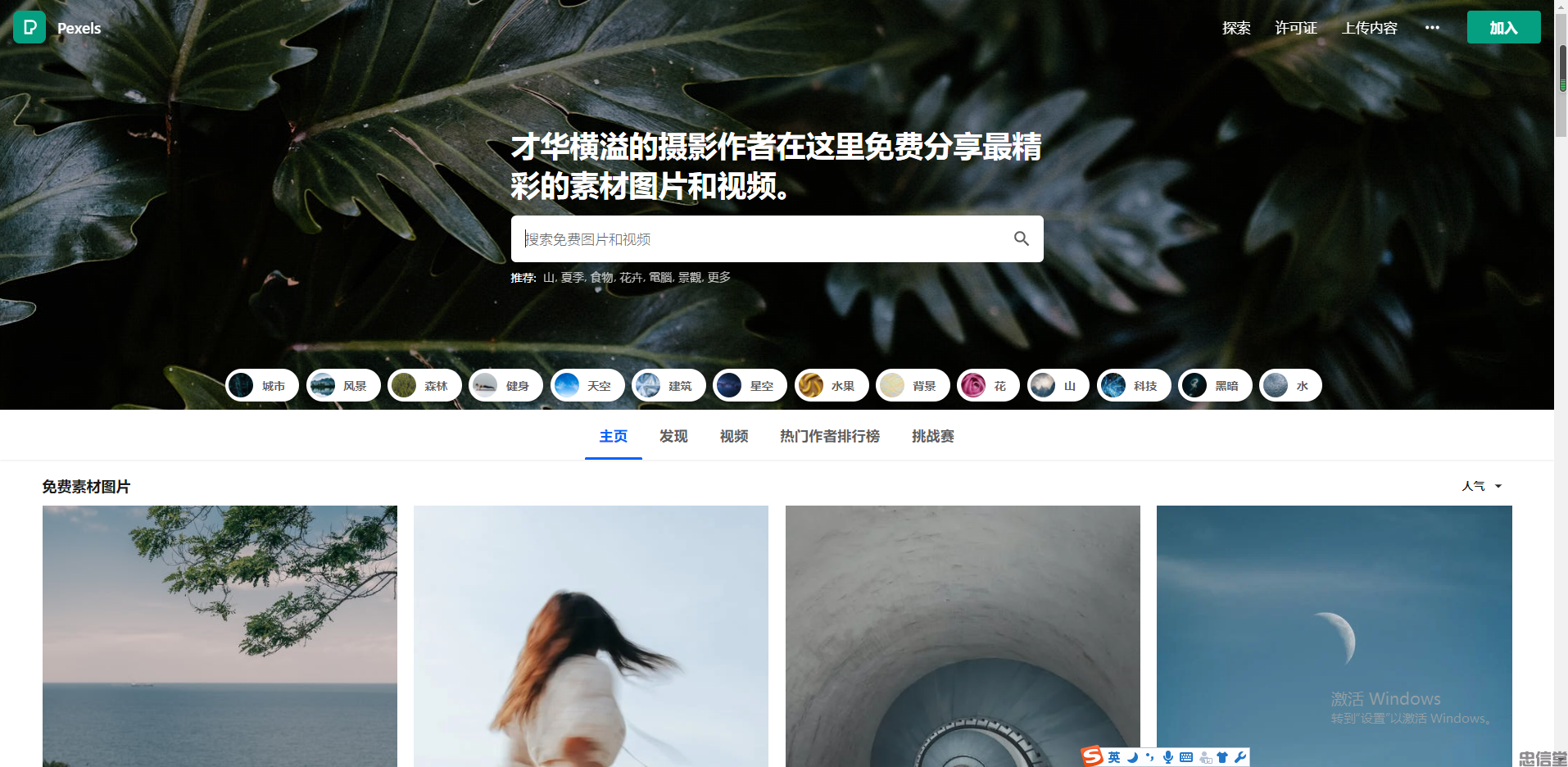 (图4) (图4)