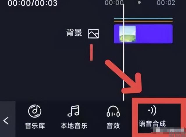 (图9) (图9)