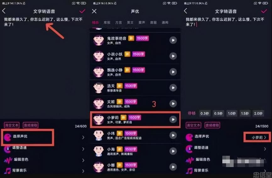 (图10) (图10)