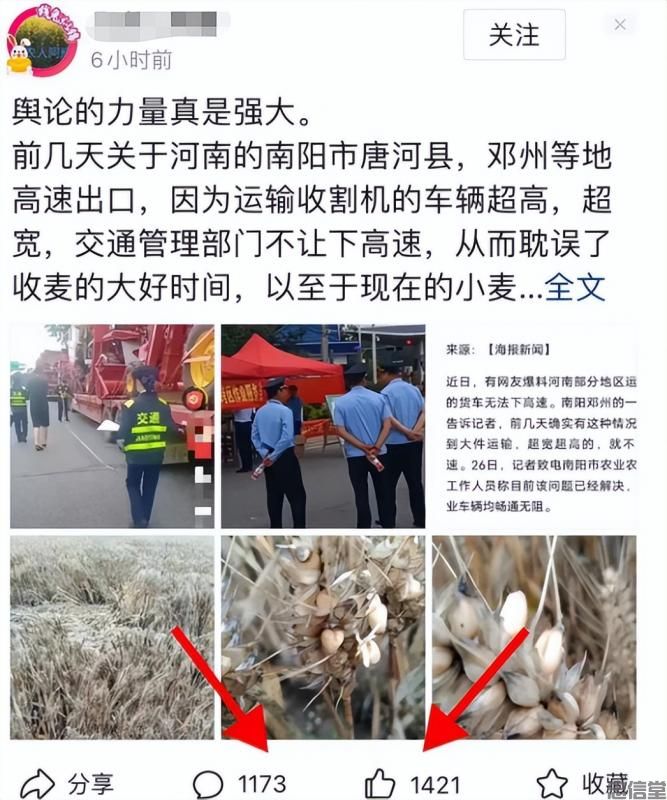 (图4) (图4)