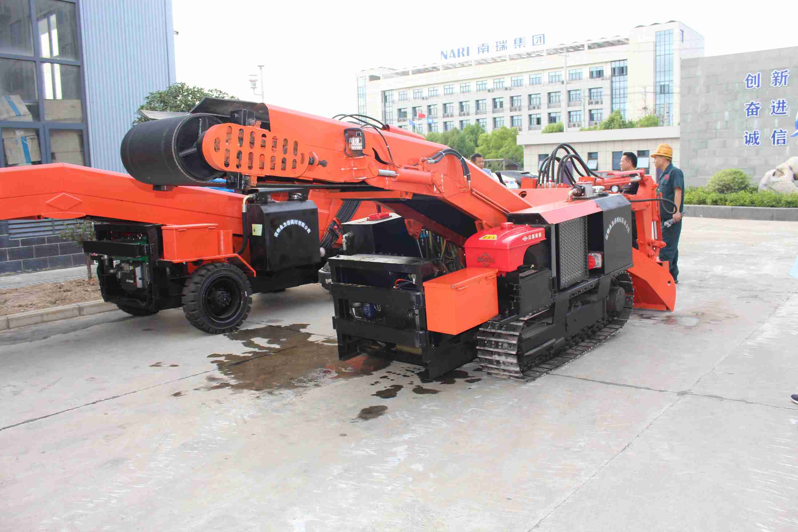 沈阳抚顺盘锦等辽宁各市齐送祥瑞，愿你生活喜乐安康福运满盈(图1)