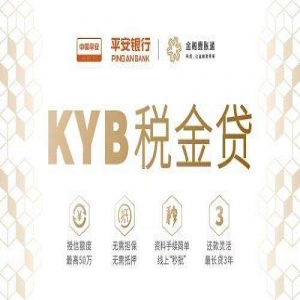 企业贷精品课程之三平安银行-税金贷