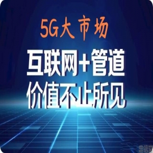 0撸项目王,5G创业管道收益,直接撸一单30-130,团队撸躺赚4+
