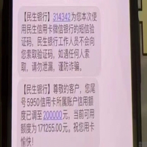 民生翻倍提额，只收额度3万以上的，要求最近30天内没提过临时或固定额度的，10分钟搞定，排好队，通宵干，自己备好押金百分百提！ 