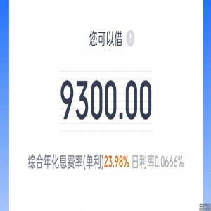 全网疯狂炸，全国可做，花户白户大白户，随便来随便批，有多少来多少，人均额度5000起，这是什么？
