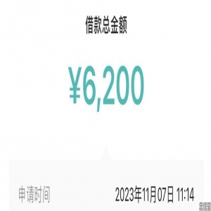 黑户花户烂户，任性收任性批，专治各种不下款，全国可做，人均10000以内，秒批秒到账，这个具体是什么口子？